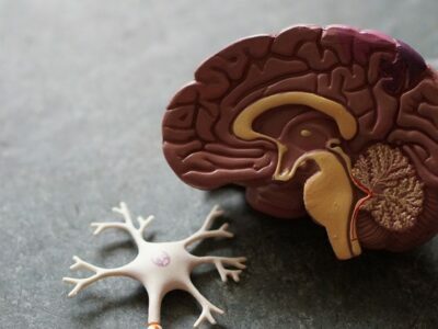 The Genius Solution Provider to Rehab Brain based Dysfunctions on Behavioral Therapy Platform