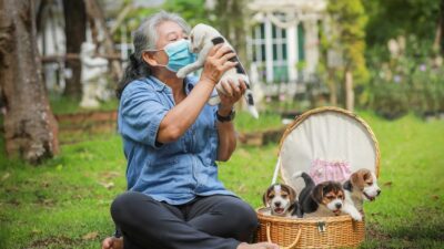 Pet Allergies