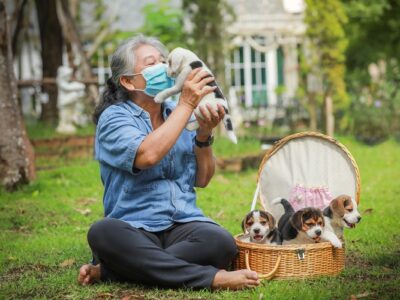 Pet Allergies