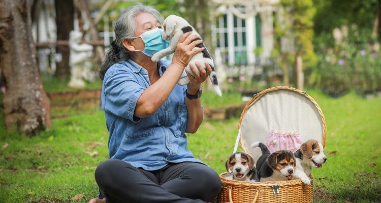Pet Allergies